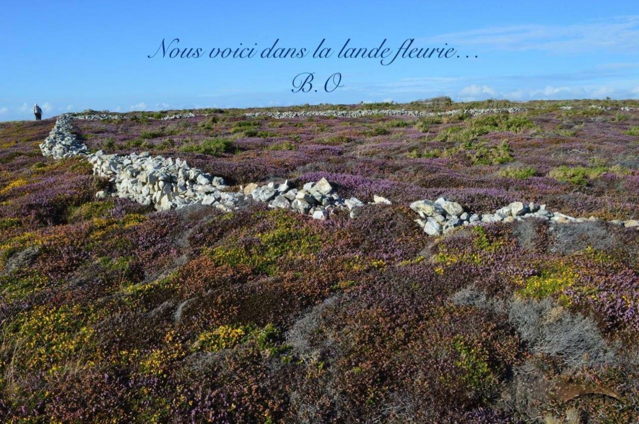 Le Clos Des Agapanthes Plogonnec Eksteriør billede